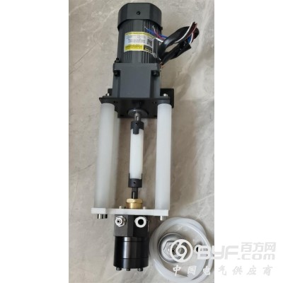 6cc油漆齿轮泵图3