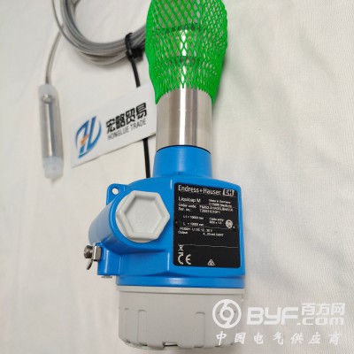 E+H电容式物位计FMI51和FMI52图2