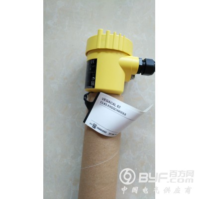 VEGA优质商电容式物位计CAL62图3