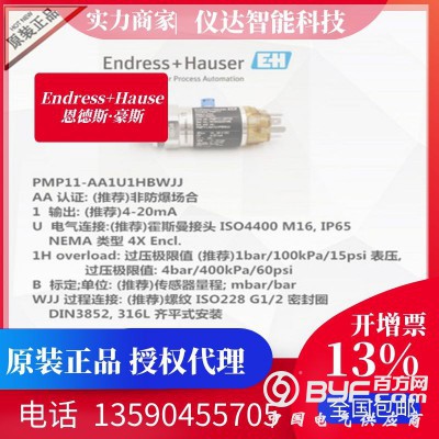 E+H恩德斯豪斯PMP11-AA1U1HBWJJ压力变送器图2