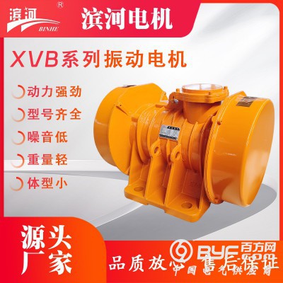 濱河XVB系列三相異步振動電機(jī)外殼防爆標(biāo)準(zhǔn)通用型應(yīng)用廣泛